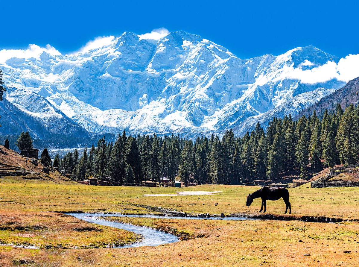 Mountain valley beneath a snow covered peak